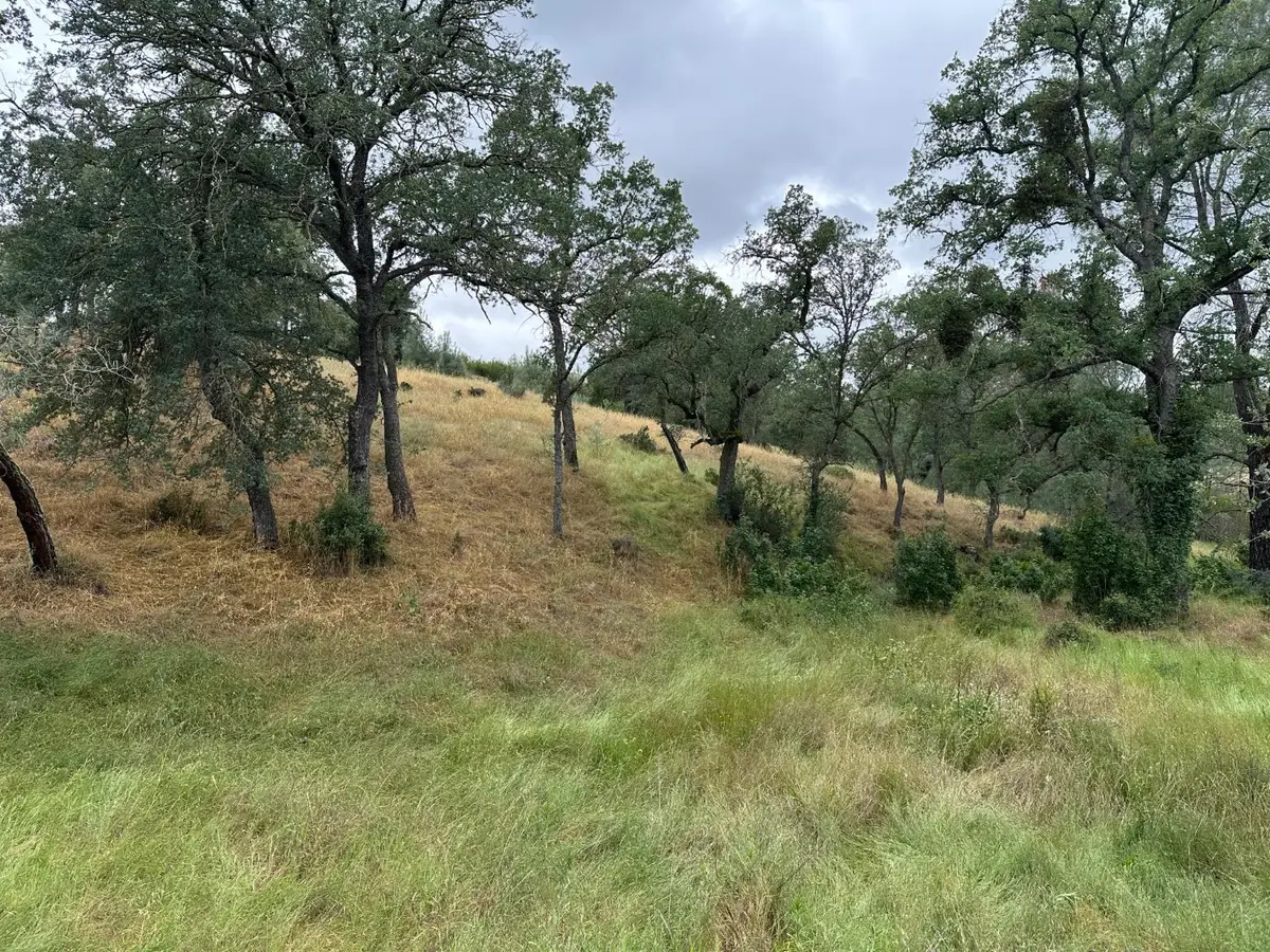 6536 Mccauley Road, Valley Springs, CA 95252 - #1