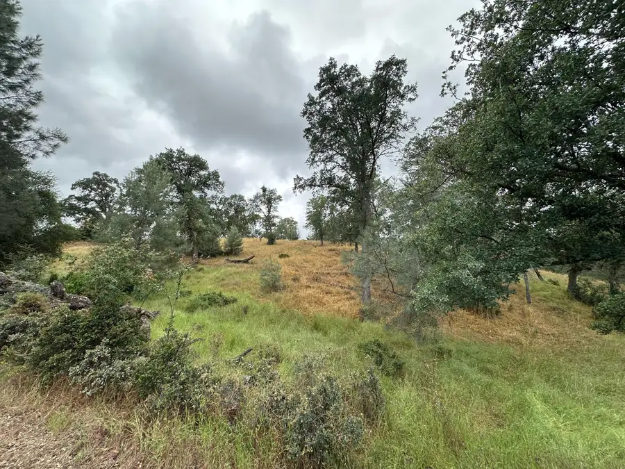 6536 Mccauley Road, Valley Springs, CA 95252 - #3