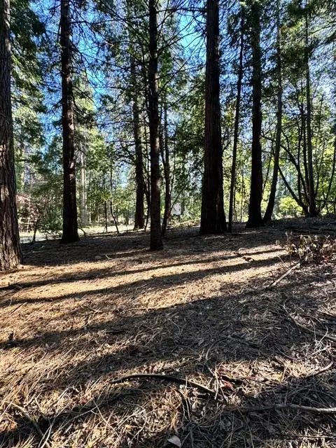27059 Antelope E. Drive, Pioneer, CA 95666