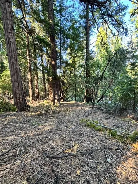 27059 Antelope Drive, Pioneer, CA 95666 - #2