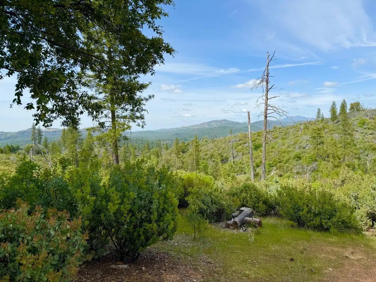 0 Fricot City Rd, Sheep Ranch, CA 95246 - #1