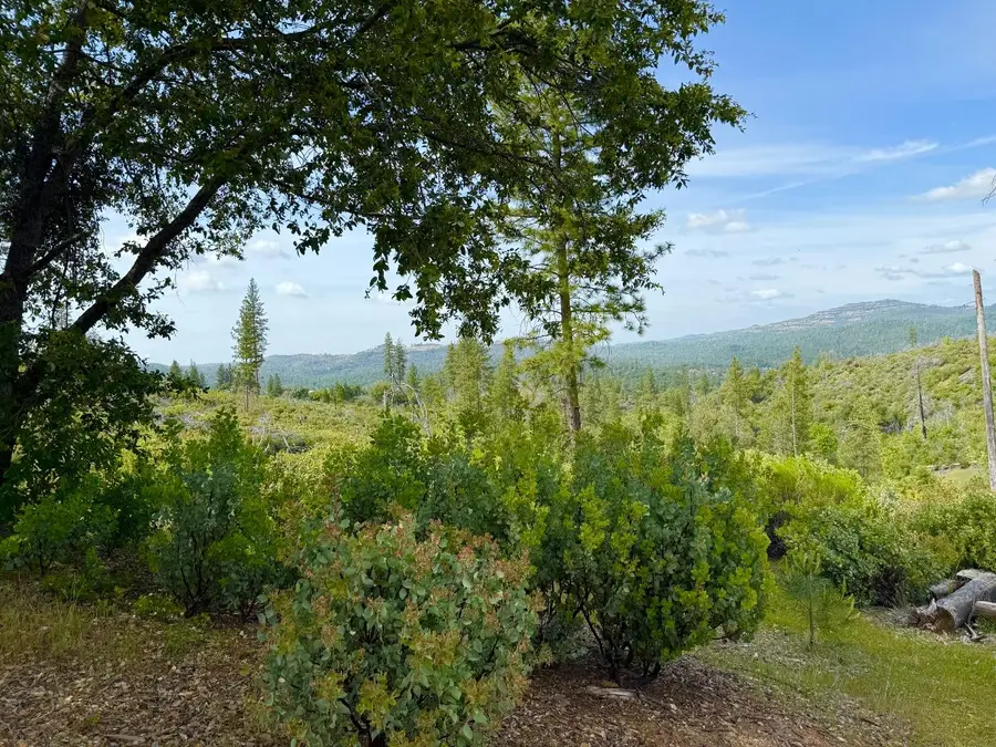 0 Fricot City Rd, Sheep Ranch, CA 95246 - #2