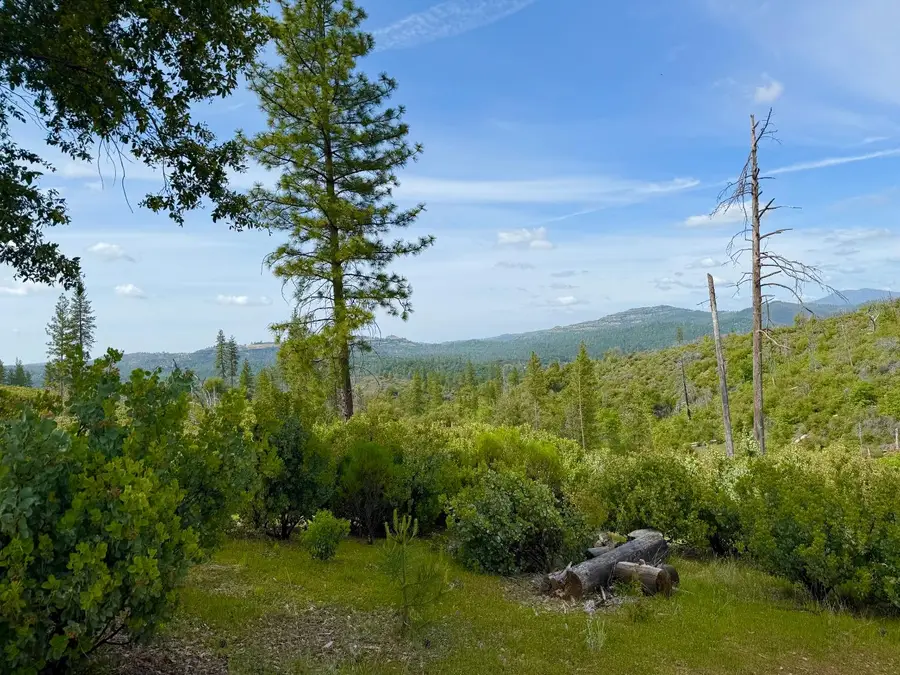 0 Fricot City Rd, Sheep Ranch, CA 95246 - #3