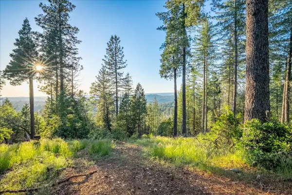 3260 Chipmunk Trail, Georgetown, CA 95634