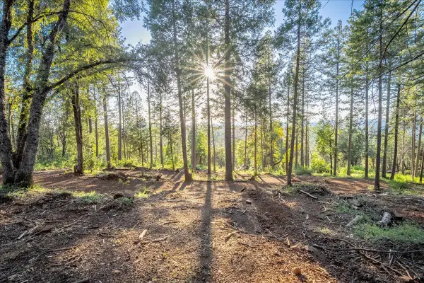 6880 Wentworth Springs Road, Georgetown, CA 95634