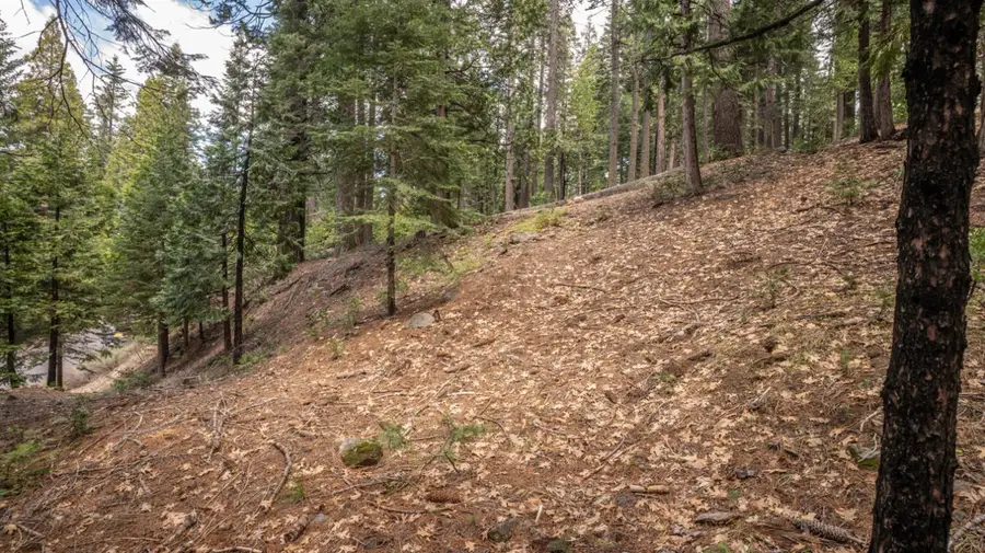 4648 Jibway Drive, Dorrington, CA 95223 - #2