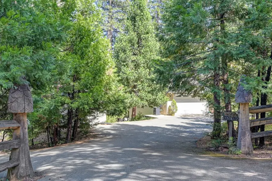 25917 Mount Misery Lane, Pioneer, CA 95666 - #2