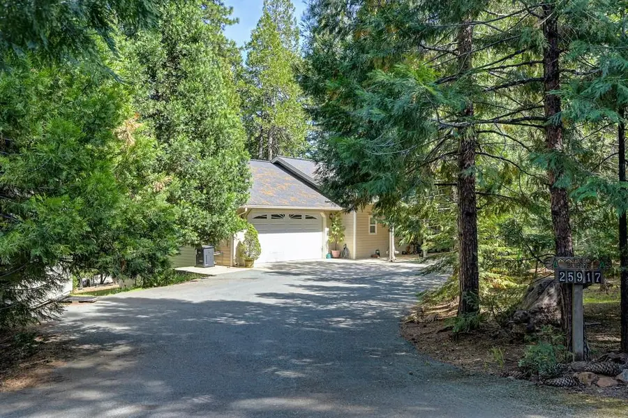 25917 Mount Misery Lane, Pioneer, CA 95666 - #3