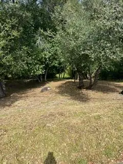 0 Planeta, El Dorado Hills, CA 95762 - #2
