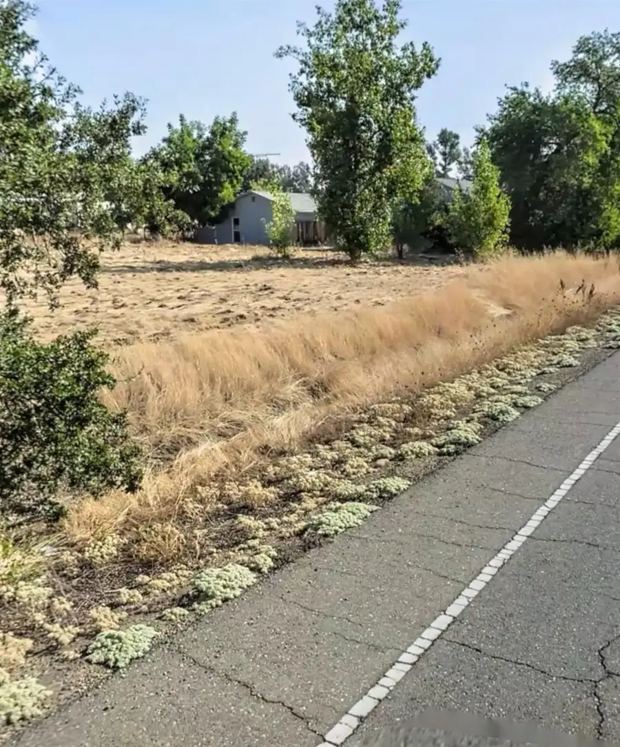 0 Lower Honcut Road, Oroville, CA 95966 - #2