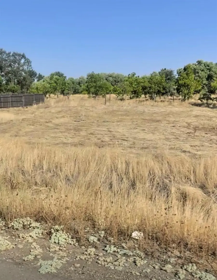 0 Lower Honcut Road, Oroville, CA 95966 - #3