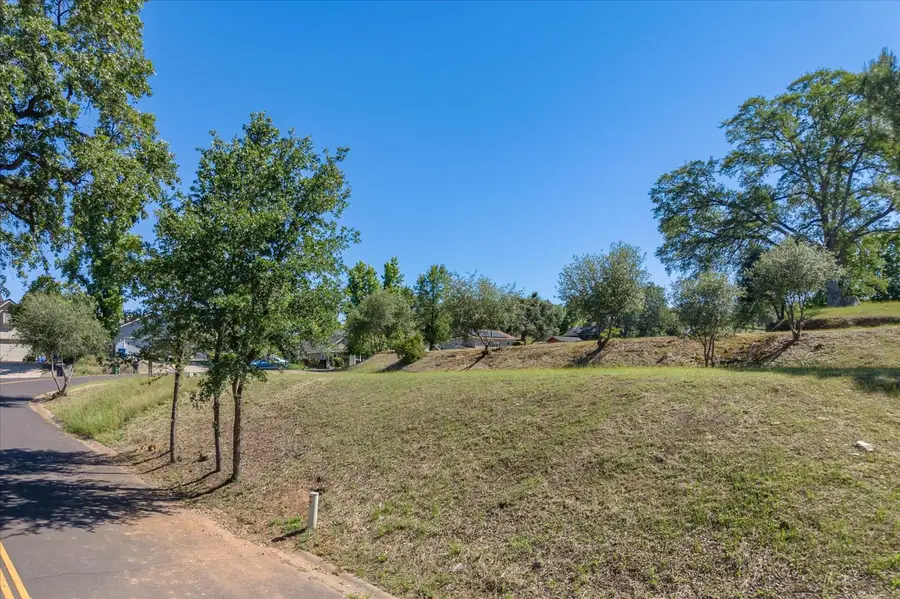 1145 Suzanne Drive, Angels Camp, CA 95222 - #3