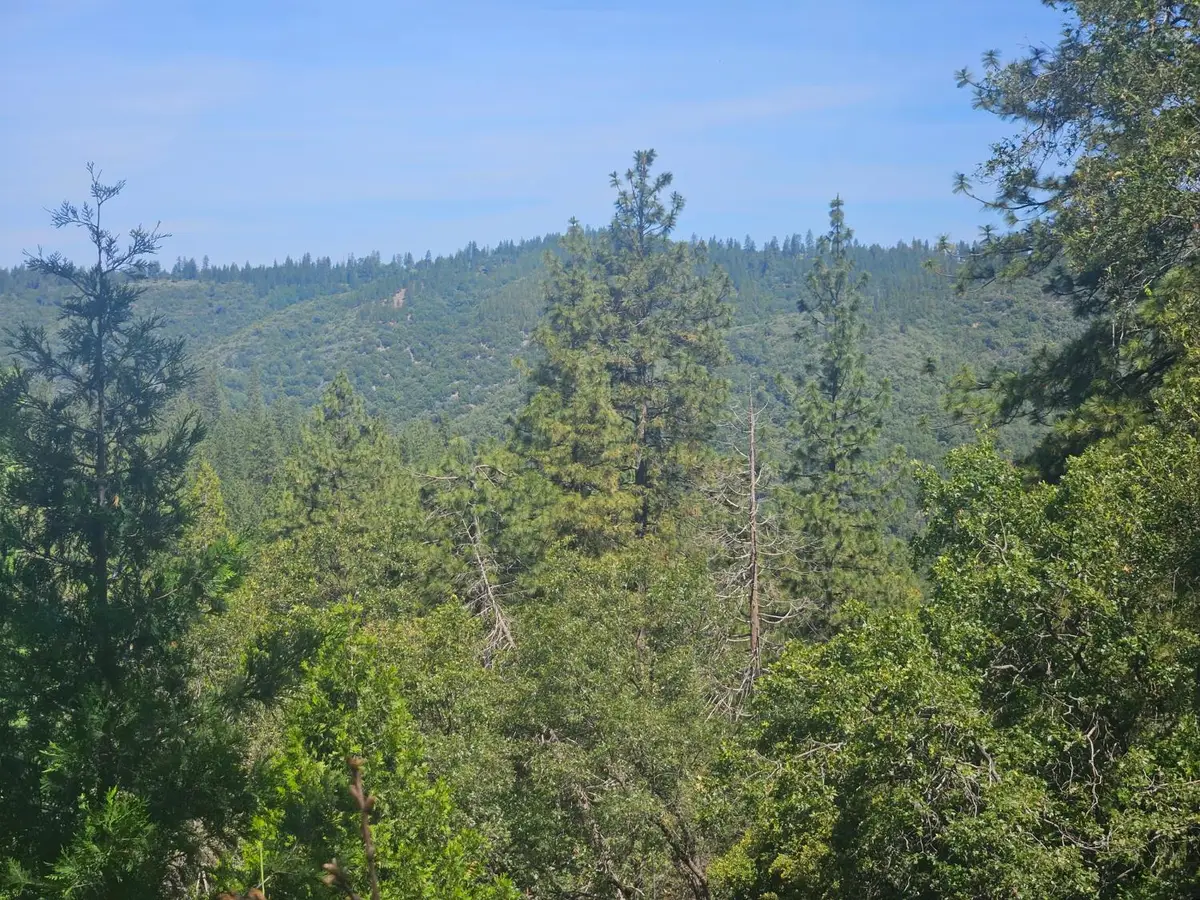 5148 Wylderidge Drive, Murphys, CA 95247 - #1