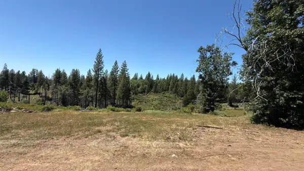 371 Blossom Lane, Mokelumne Hill, CA 95245