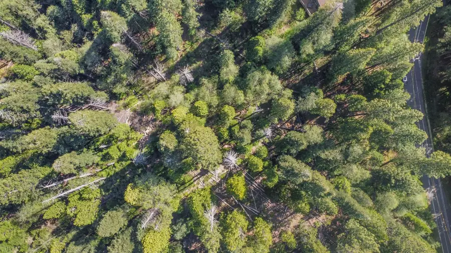 2159 Sierra Parkway, Dorrington, CA 95223 - #3