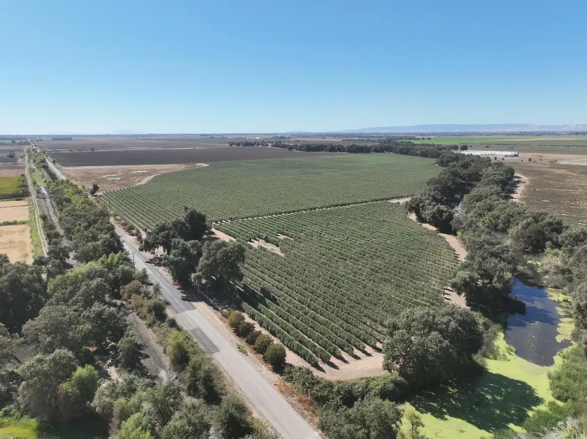 20456 County Road 103, Woodland, CA 95776 - #1