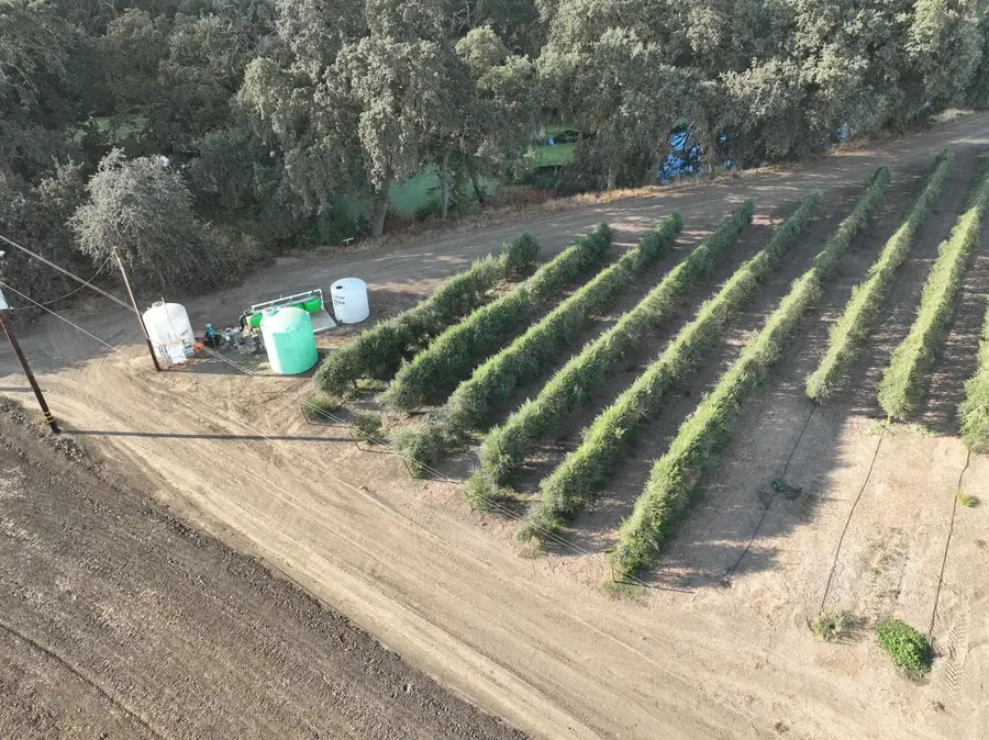 20456 County Road 103, Woodland, CA 95776 - #3