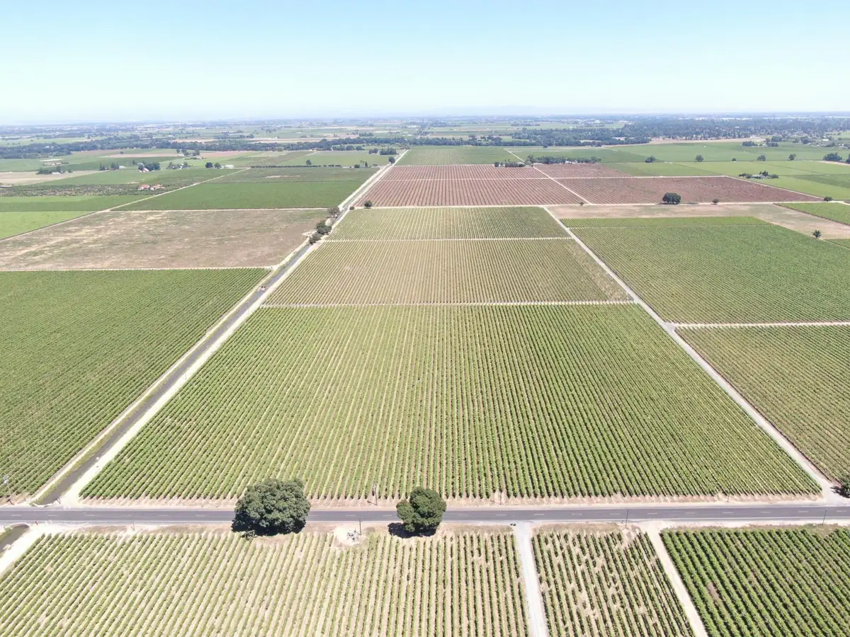20860 N Devries Road, Lodi, CA 95242 - #1