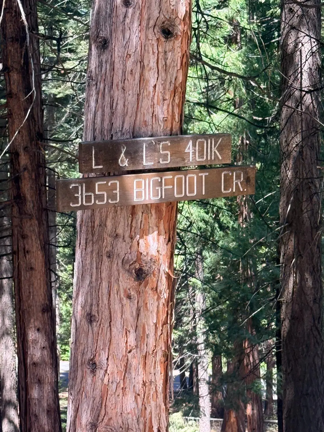 3653 Bigfoot Circle, Arnold, CA 95223 - #1
