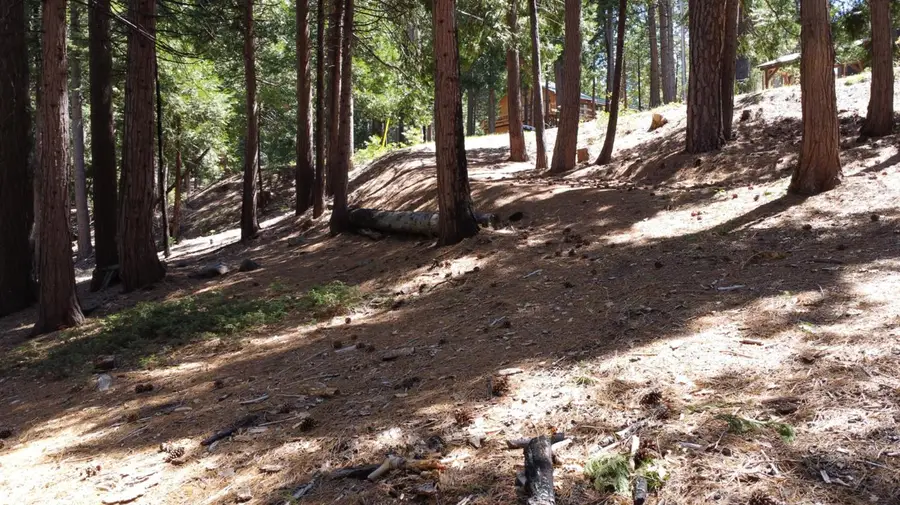 3653 Bigfoot Circle, Arnold, CA 95223 - #2