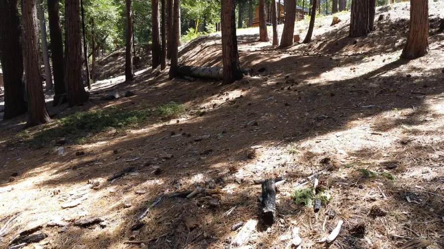 3653 Bigfoot Circle, Arnold, CA 95223 - #3