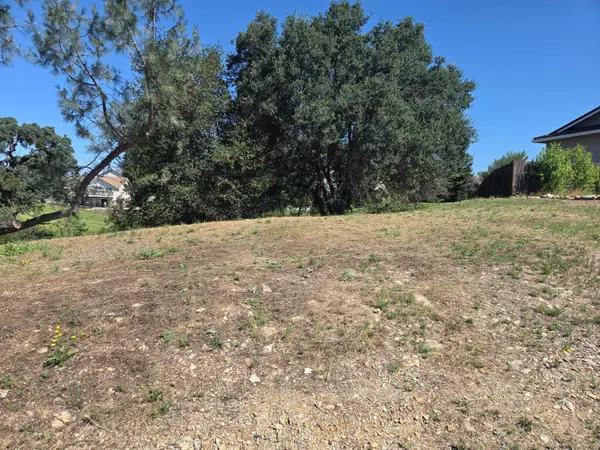 590 Blue Herron Court, Valley Springs, CA 95252