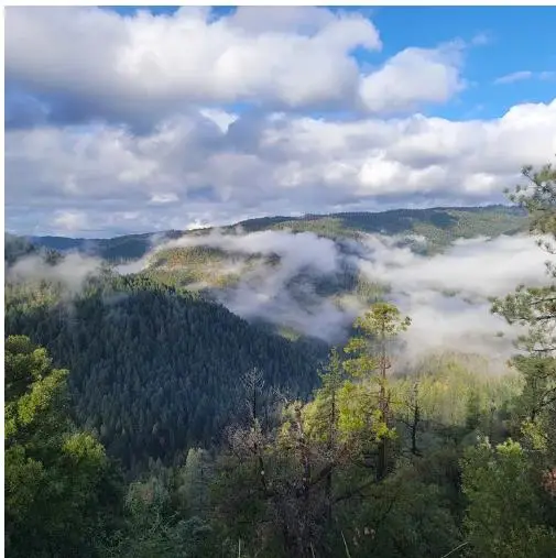 25510 Artic Mine, Nevada City, CA 95959