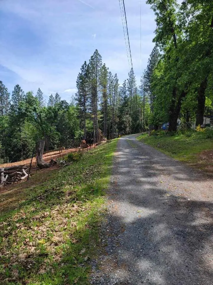 6461 Forest View Drive, Georgetown, CA 95634 - #2