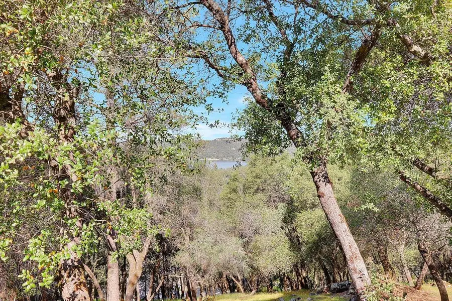 13036 Lake Wildwood Drive, Penn Valley, CA 95946 - #3