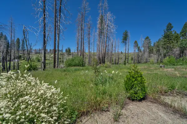 7425 Winding Way, Grizzly Flats, CA 95636