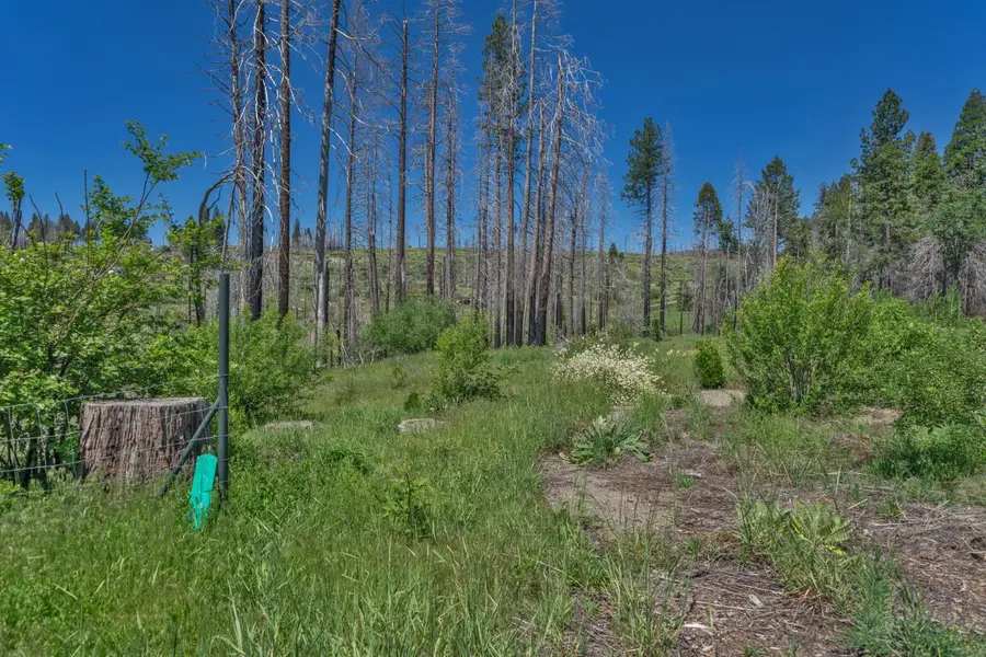 7425 Winding Way, Grizzly Flats, CA 95636 - #3