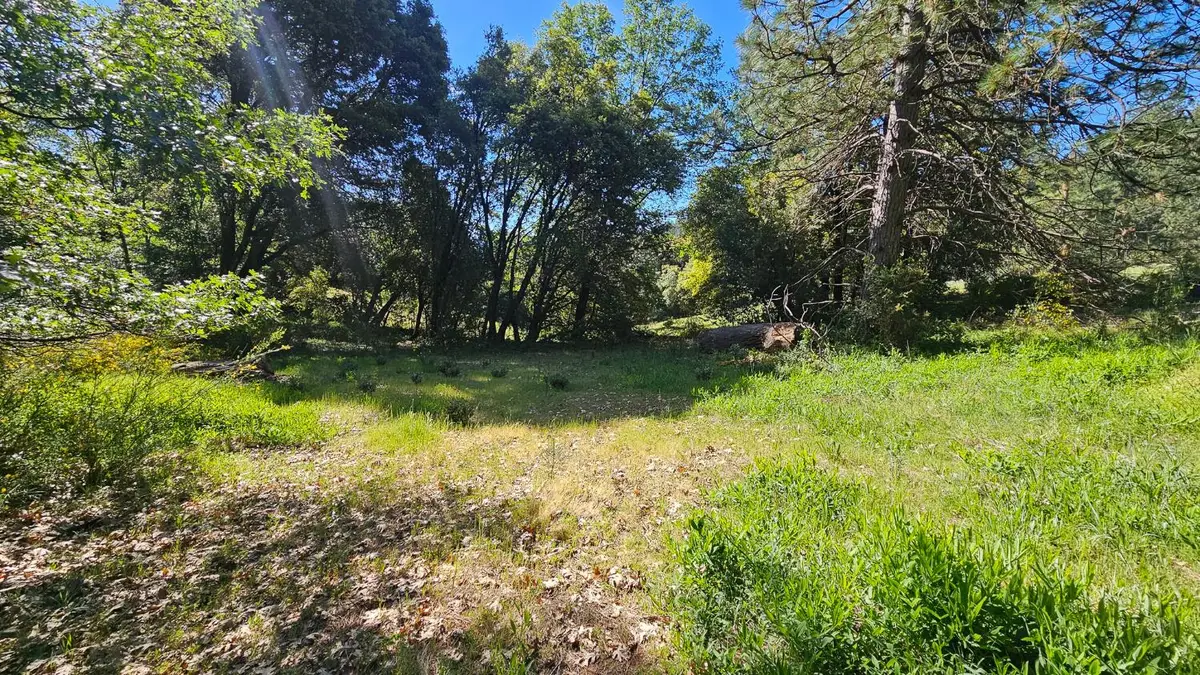 0 N Canyon Way Way, Colfax, CA 95713 - #1