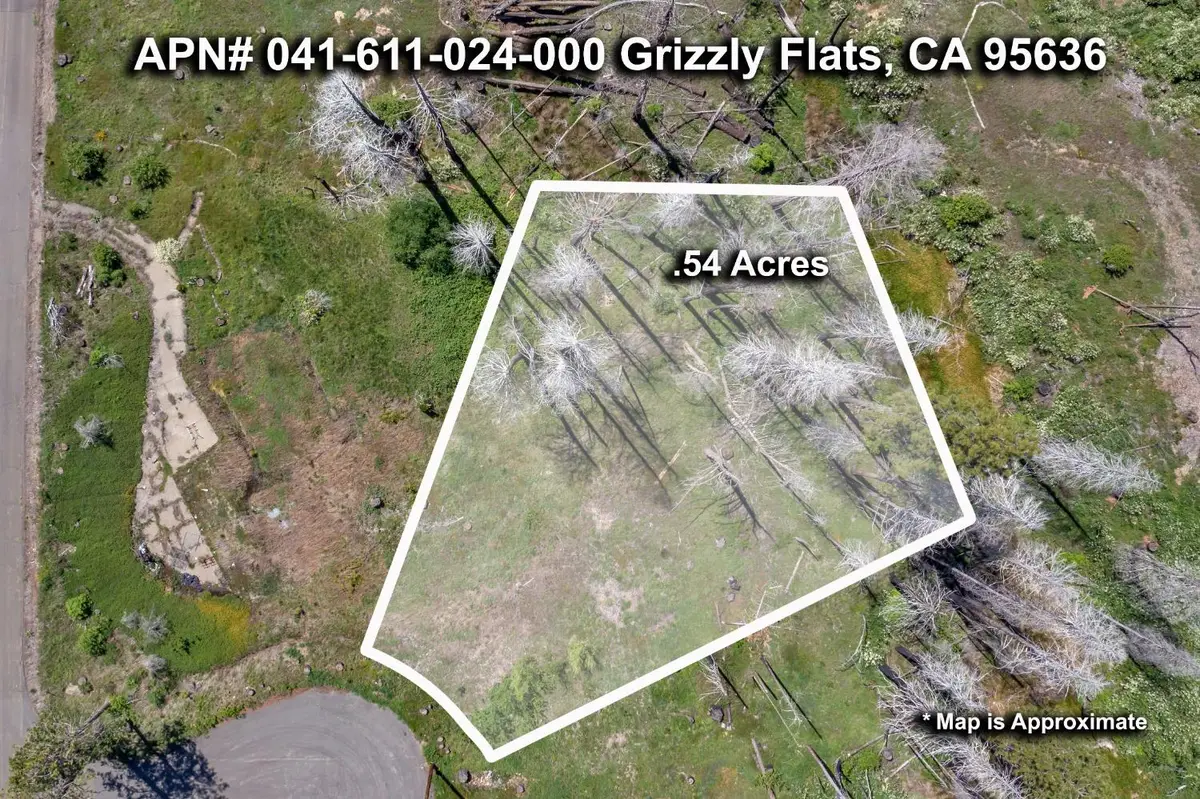 0 Winding Way Court, Grizzly Flats, CA 95636 - #1