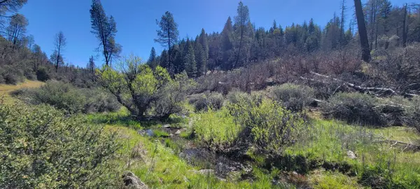 2400 White Rock Road, Shasta, CA 96076