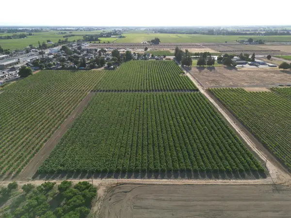 17490 N Bruella Road, Victor, CA 95253