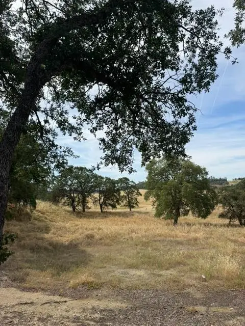 5134 Little John, Copperopolis, CA 95228 - #1