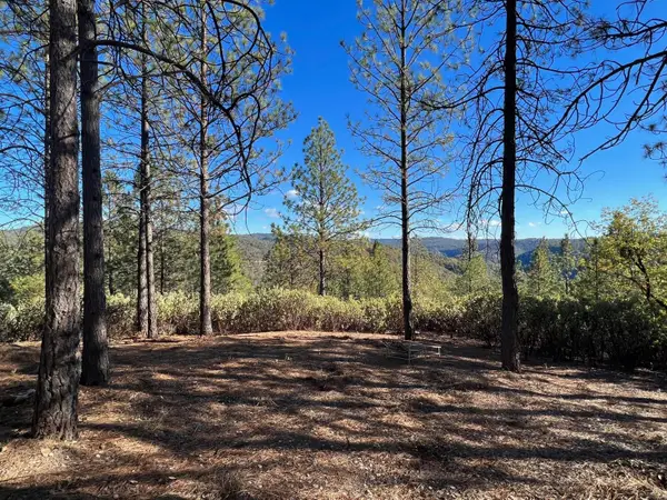 15375 Cliff Road, Nevada City, CA 95959