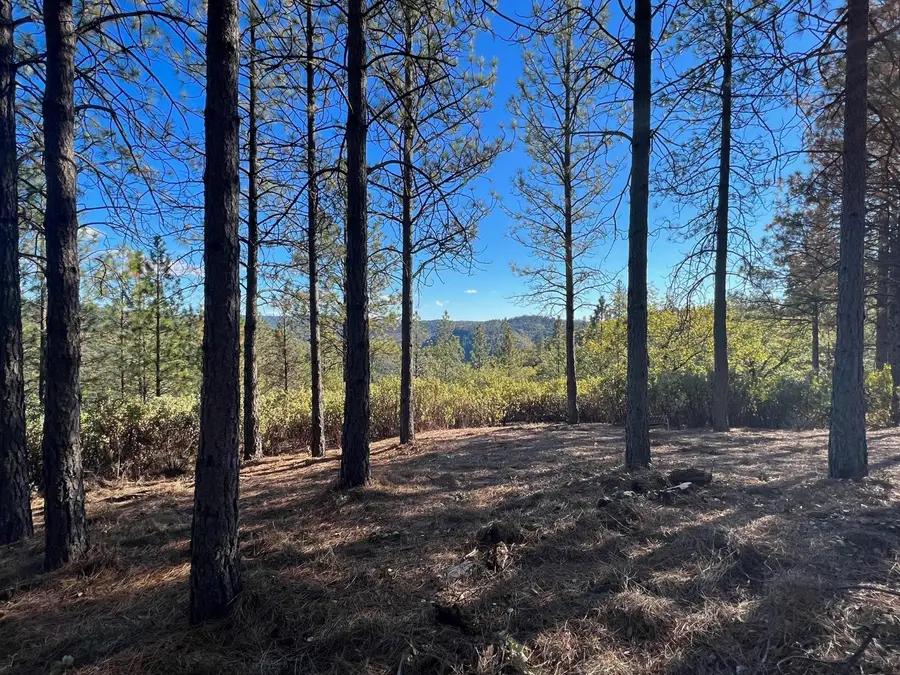 15375 Cliff Road, Nevada City, CA 95959 - #3