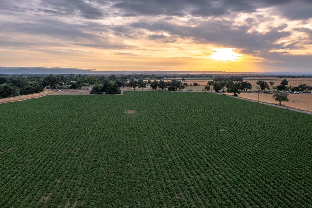 37795 County Road17, Woodland, CA 95695 - #1