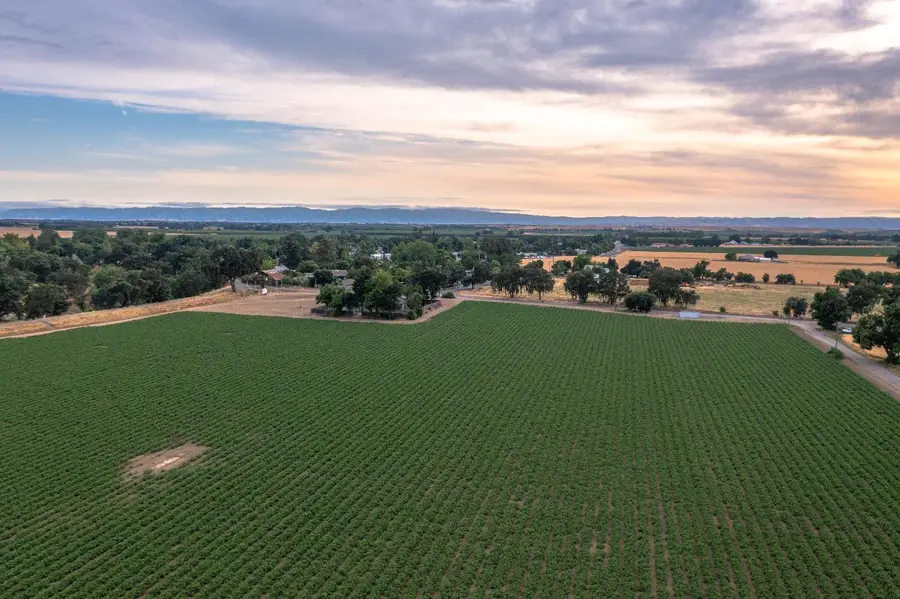 37795 County Road17, Woodland, CA 95695 - #3
