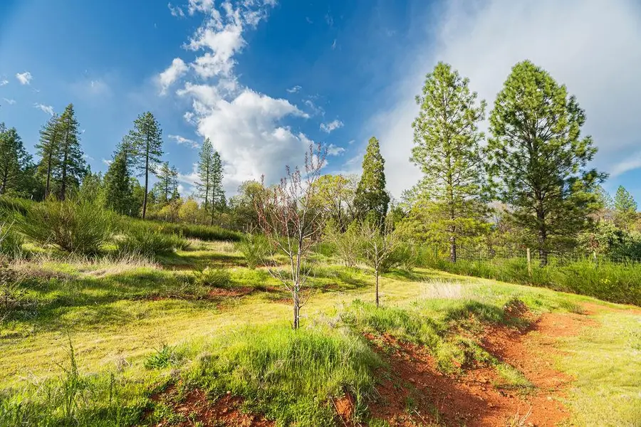 10571 Sebastopol Road, North San Juan, CA 95960 - #2