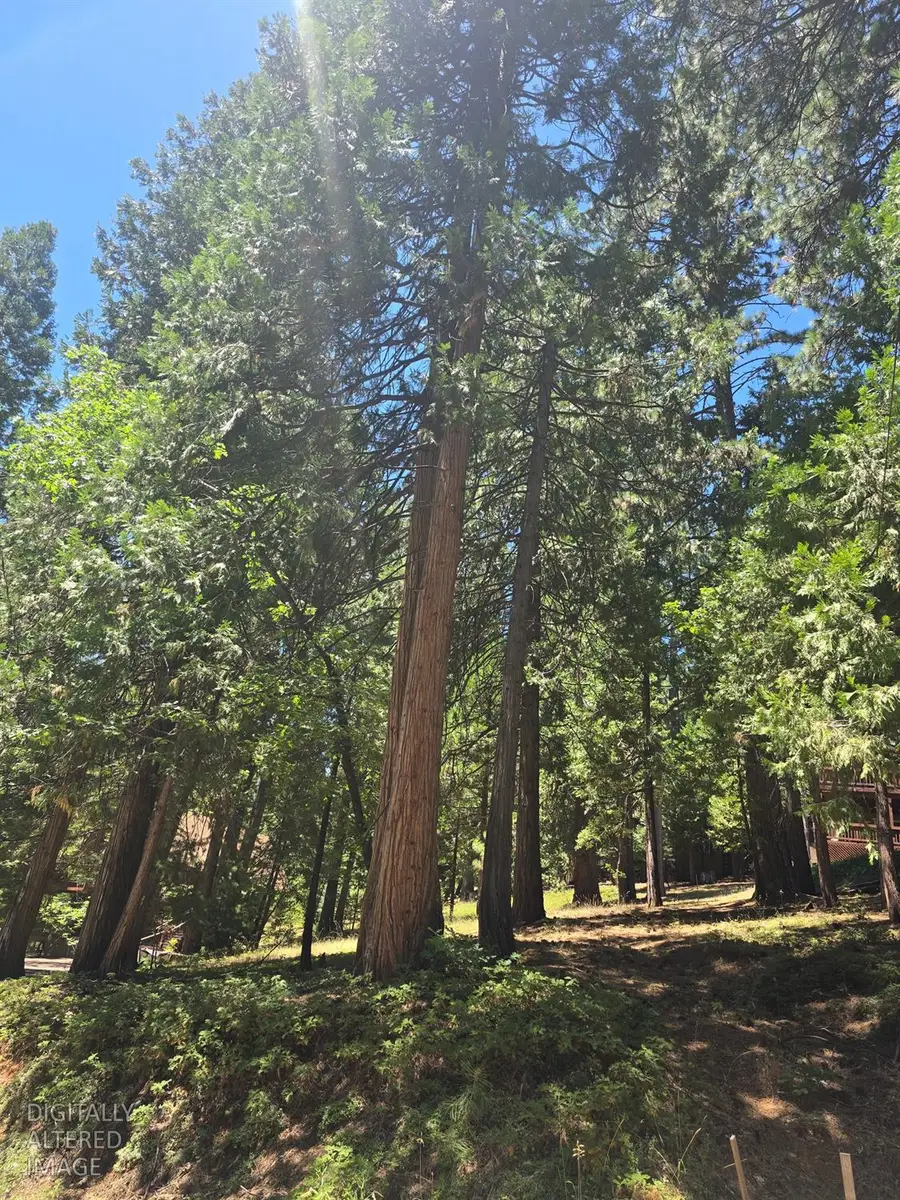 594 Dean Way, Arnold, CA 95223 - #3