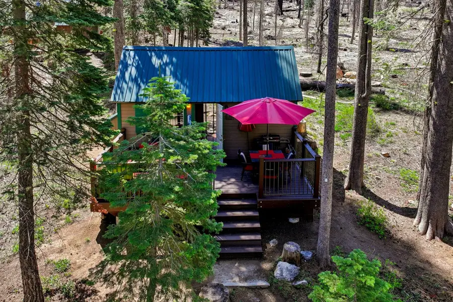 7236 Sayles Canyon Road, Twin Bridges, CA 95735 - #2