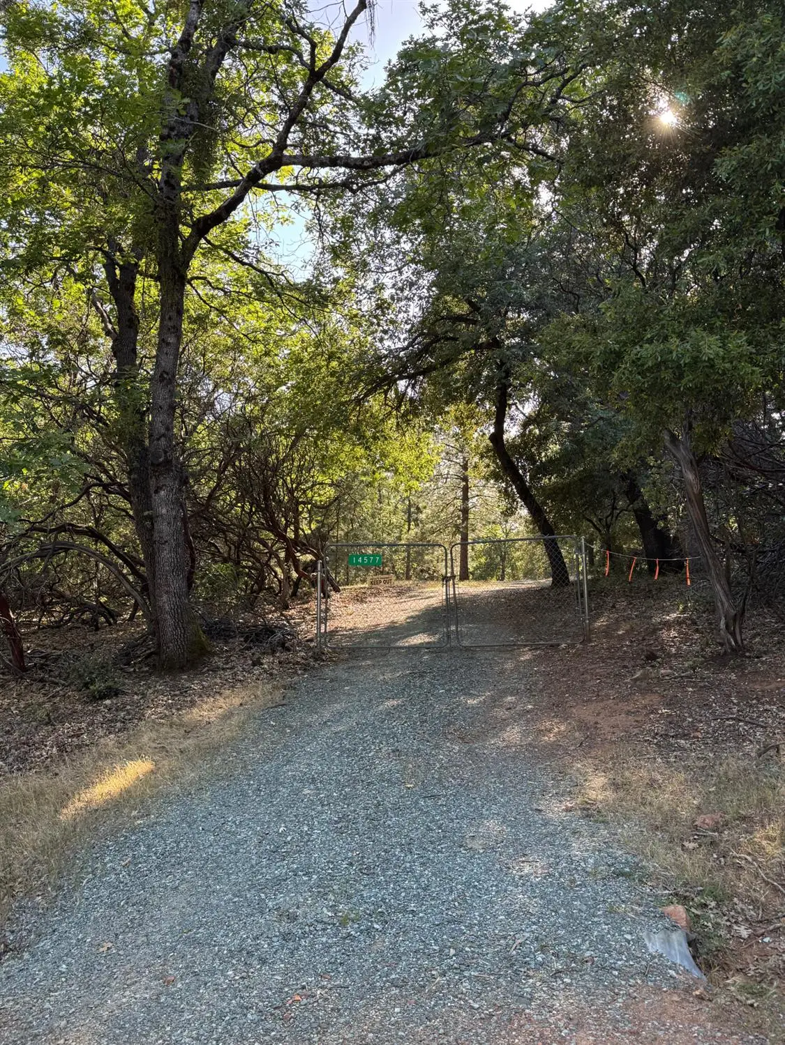 14577 Andrews, Pine Grove, CA 95665 - #1