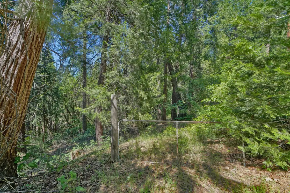 4681 Glenwood Drive, Camino, CA 95709 - #1
