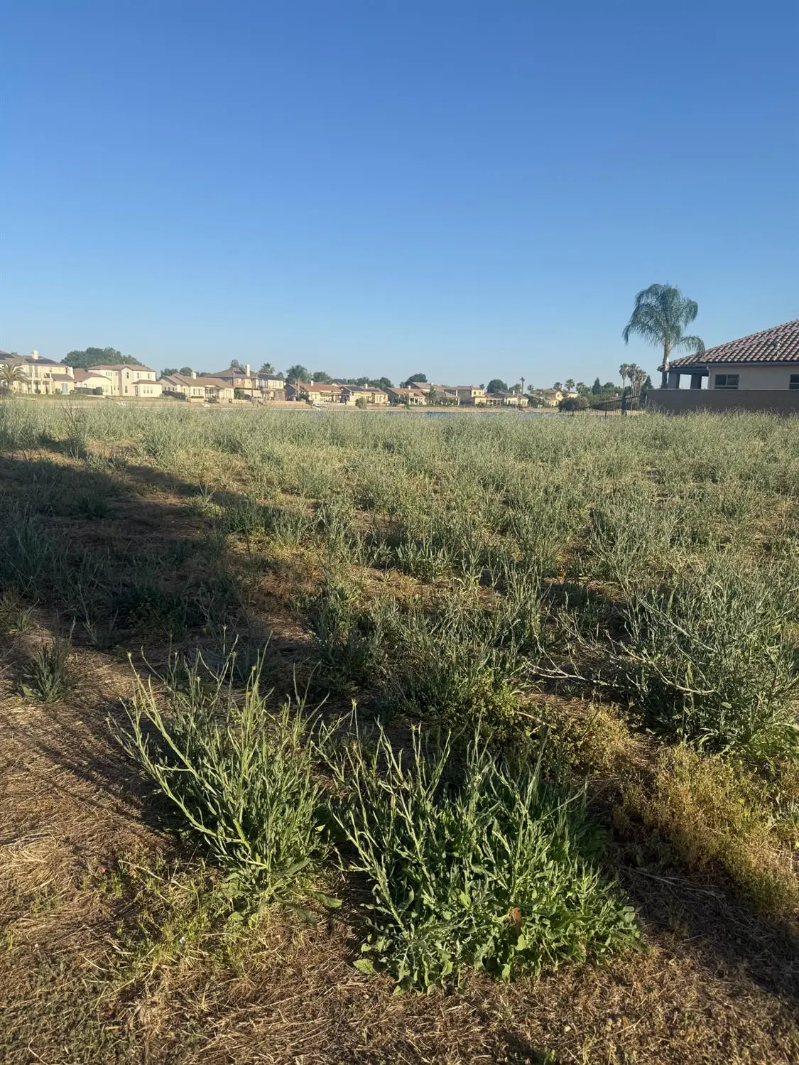 8255 Lake Shore Drive, Chowchilla, CA 93610 - #1