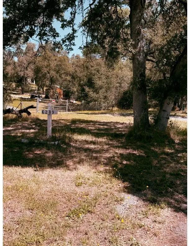 6289 Bald Mountain Road, Browns Valley, CA 95918 - #2