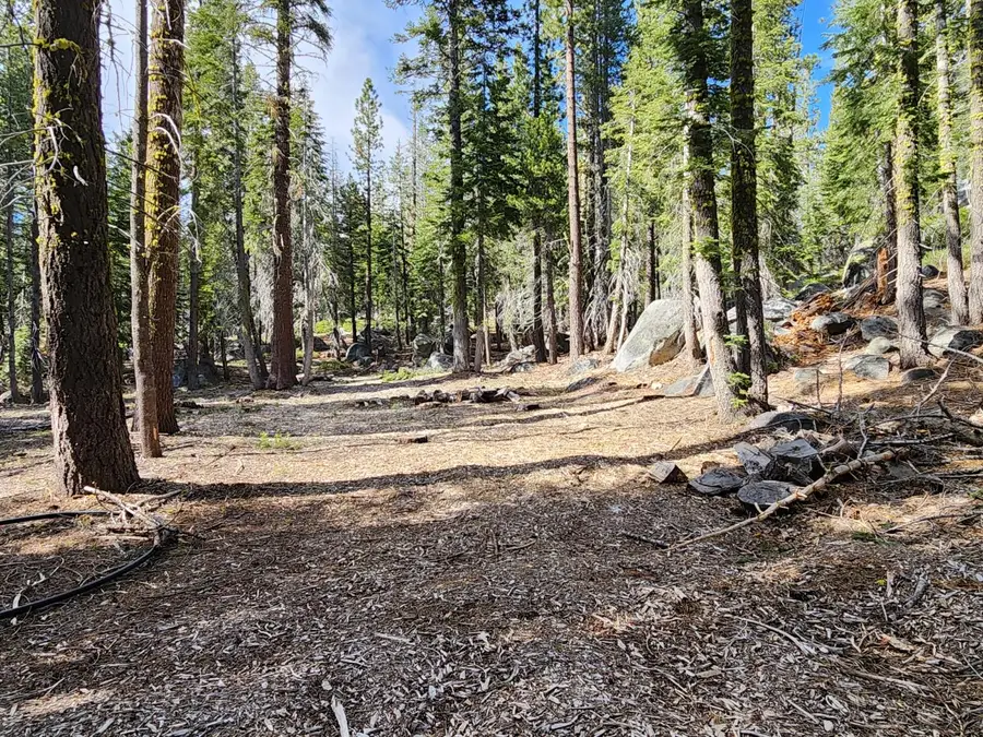 0 State Highway 4, Arnold, CA 95223 - #2