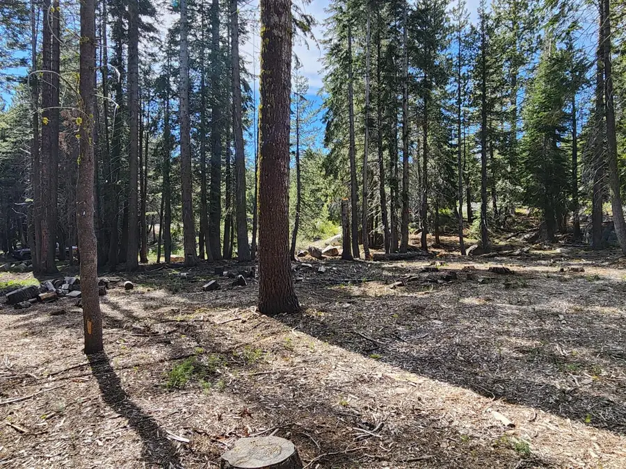 0 State Highway 4, Arnold, CA 95223 - #3