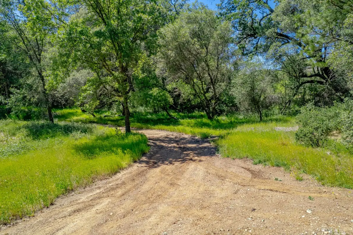 0 W Eric Rood Memorial Expressway, Penn Valley, CA 95946 - #1